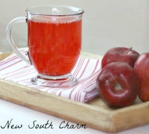 Red Hot Apple Cider is a fun drink to enjoy while tailgating, pumpkin carving, or decorating your Christmas Tree. 