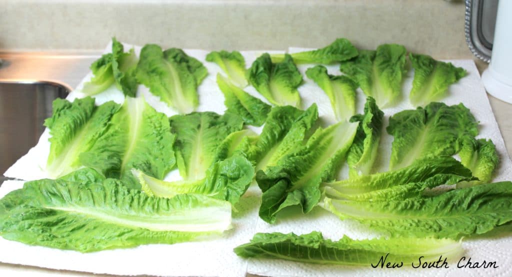 how-to-keep-lettuce-fresh-longer-new-south-charm