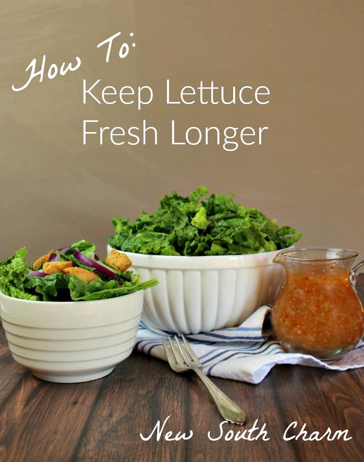 https://newsouthcharm.com/wp-content/uploads/2016/12/How-To-Keep-Lettuce-Pin-2.jpg