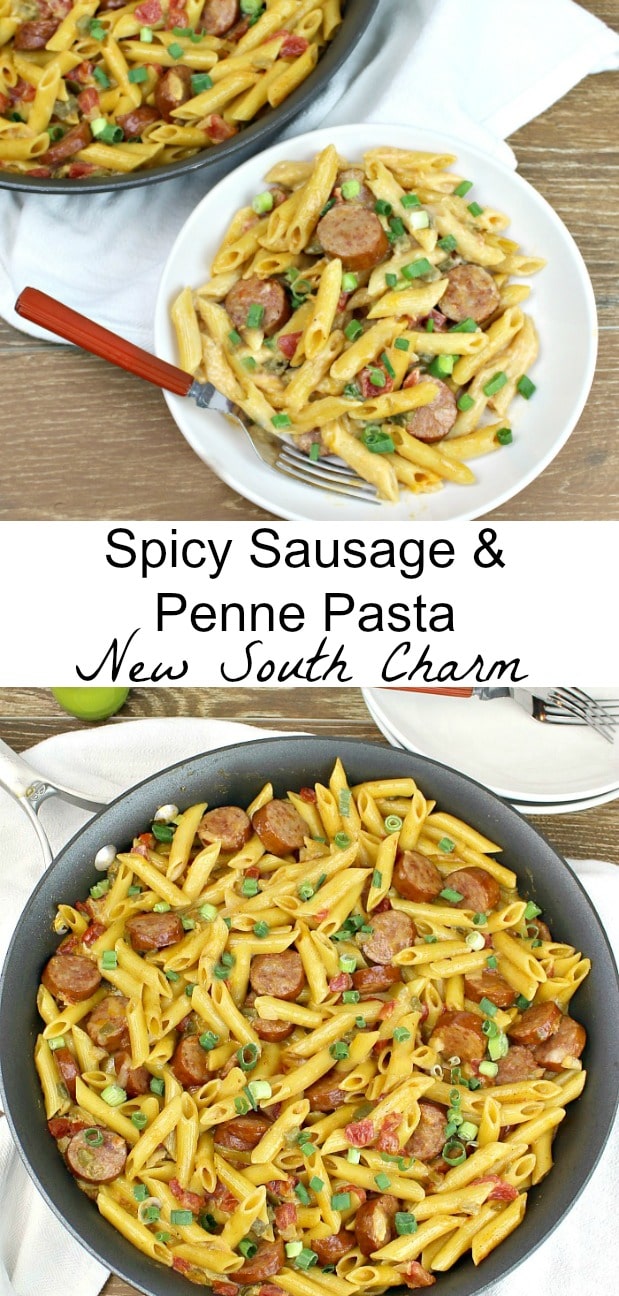 Spicy Sausage and Penn Pasta 