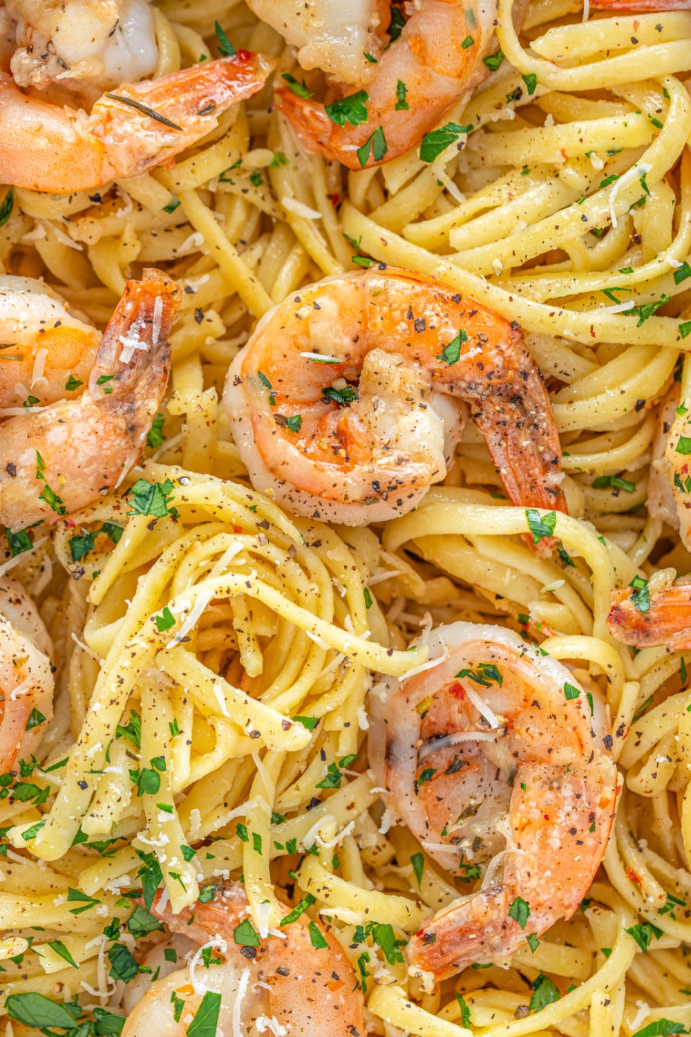 Shrimp and pasta with parsley and black cracked pepper.