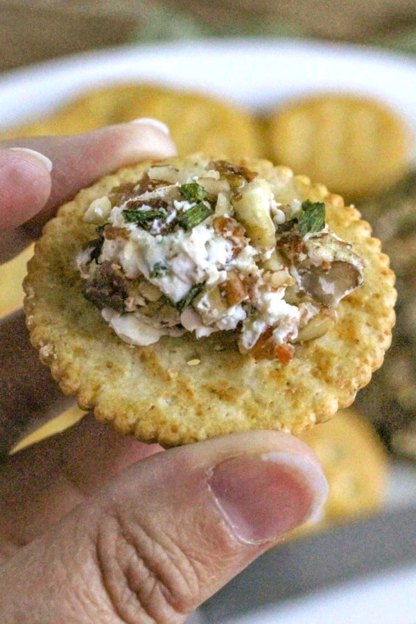 Bacon and Chive Cheeseball spread onto a round cracker being held in the blogger's hand 