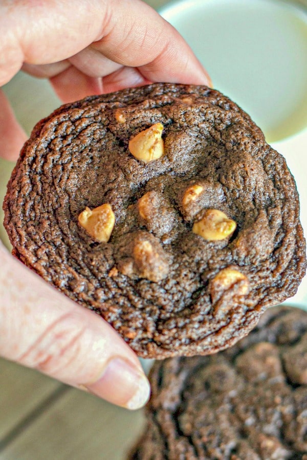 Blogger's hand holding one Chocolate Peanut Butter Chip Cookie. 