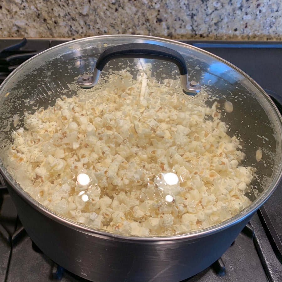 Stovetop popcorn process photo of a stock pot with lid on top while popcorn is popping. 