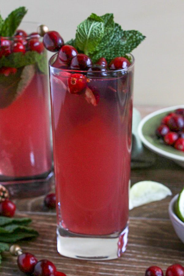 Cranberry Mojitos in drinking glasses garnished with fresh mint and cranberries