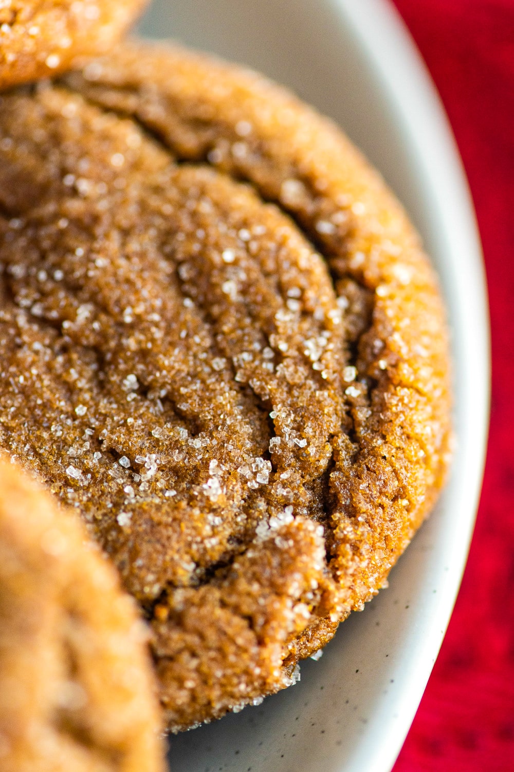 A close up photo of a cookie showcasing the sparkle of the granulated sugar.