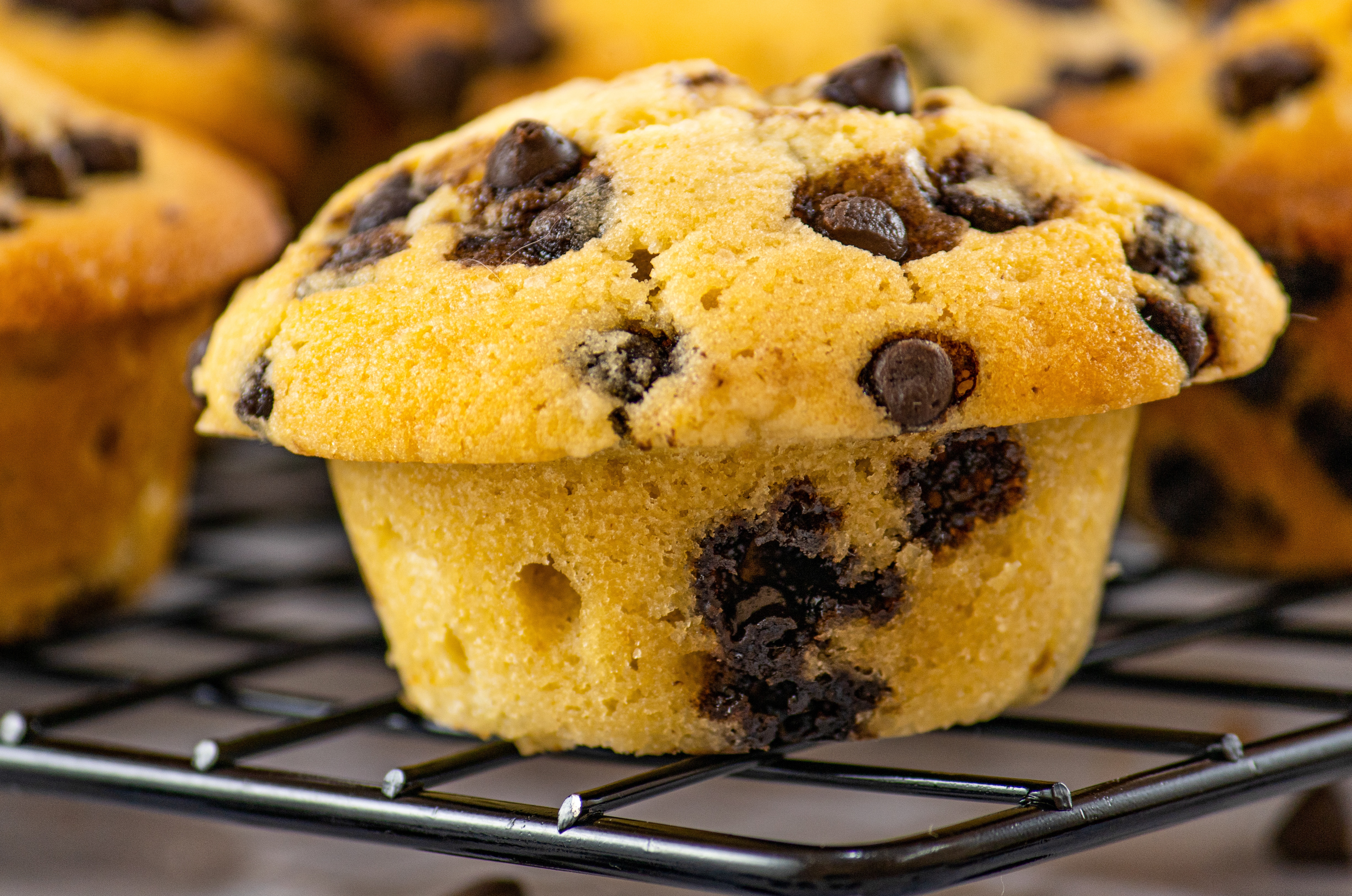 A mini muffin filled with chocolate chips resting on a baking rack.
