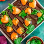 Chocolate brownies with chocolate ganache and orange candy dipped starwberries make a "pumpkin patch" in a baking pan.