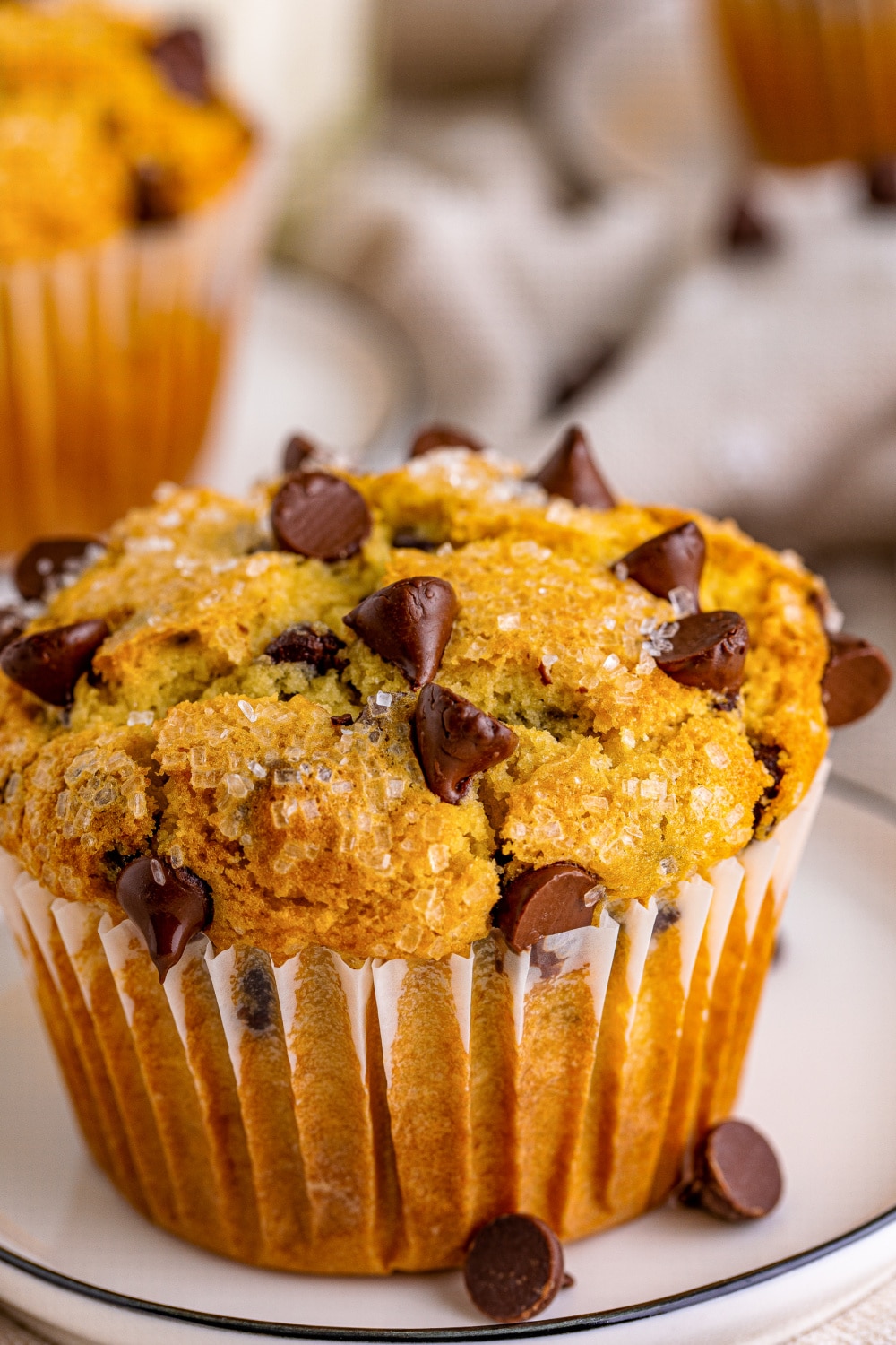 A Jumbo Chocolate Chip muffin on a white saucer.