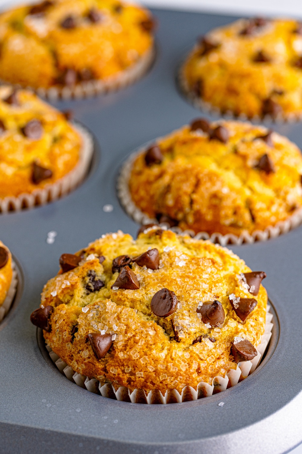 Freshly baked muffins in a baking tin.